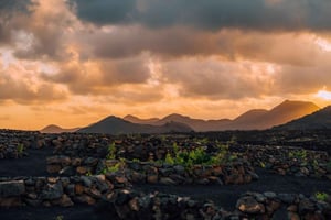 Lanzarote : visite des vignobles au coucher du soleil avec dégustation de vins et chocolats