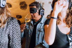 Lanzarote : visite du vignoble et dégustation synesthésique de vins à l'aveugle