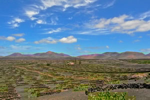 Lanzarote: Vulkanene i Timanfaya og grottetur med lunsj