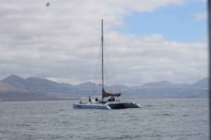 Lanzarote : Observation des baleines et des dauphins à bord d'un catamaran écologique