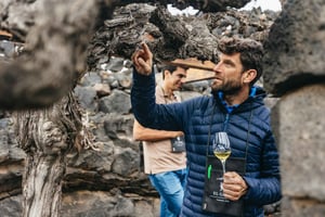Amateurs de vin : Dégustation de vin à El Grifo Bodega Lanzarote