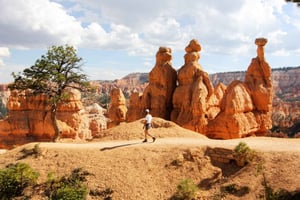 Bryce Canyon et Zion National Park : Visite privée en groupe