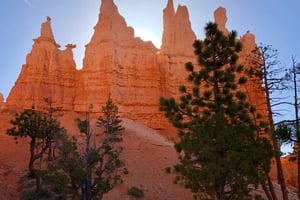 Fra Las Vegas: Privat vandretur i Bryce Canyon