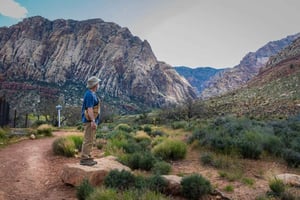 Vanuit Las Vegas: Spring Mountain Ranch wandeling en huisbezoek