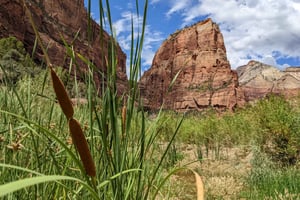 Z Las Vegas: przygoda w małej grupie w Parku Narodowym Zion