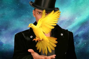 Las Vegas : Allstars Of Magic