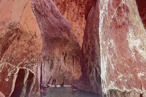 Las Vegas: Caminhada guiada pelas fontes termais do Arizona com snacks