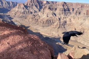 Grand Canyon e Barragem Hoover: tour privado saindo de Las Vegas