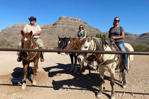 Passeio a cavalo pela Joshua Tree Forest com búfalo e almoço