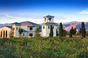 Las Vegas / Pahrump Wine Tasting Tour and snacks