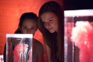 Las Vegas: REAL BODIES på Horseshoe Las Vegas Inträdesbiljett