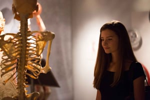 Las Vegas: REAL BODIES på Horseshoe Las Vegas Inträdesbiljett