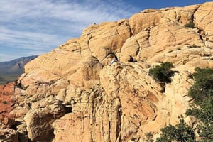 Las Vegas: Caminhada guiada pelo Red Rock Canyon com serviço de busca