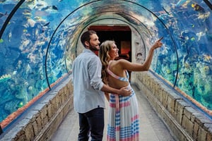 Лас-Вегас: входной билет в аквариум Shark Reef и виртуальную реальность