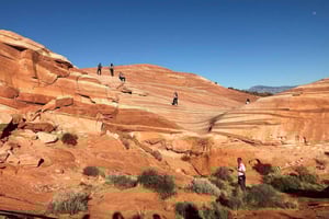Las Vegas: Valley of Fire Półdniowa wycieczka z przewodnikiem z odbiorem