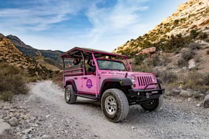 Las Vegas: Red Rock Canyon Tour & Rocky Gap 4x4 Avontuur