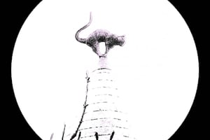 Big Riga: Città vecchia e quartiere Art Nouveau