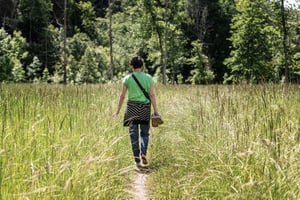 De Riga: explora a natureza da Letónia com um fotógrafo local