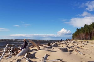 Z Rygi: cztery naturalne ekosystemy podczas jednej wędrówki