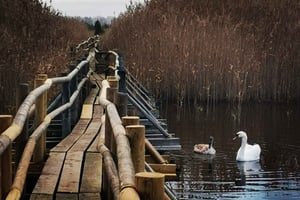 Латвийские зимние фестивали: присоединяйтесь к радостным праздникам