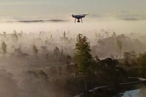 Sentier de la tourbière du parc national de Kemeri près de Riga