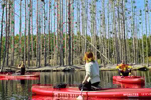 Von Riga aus: Lettischer Dschungel auf einem SUP-Board