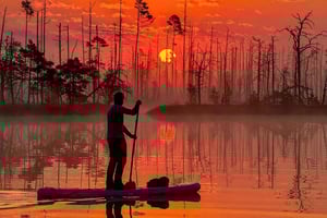 Au départ de Riga : Sunrise SUP Tour avec prise en charge à Cenas Tīrelis