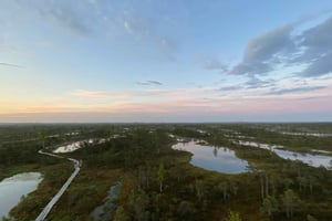 Z Rygi: Torfowisko Kemeri i nadmorska Jurmala