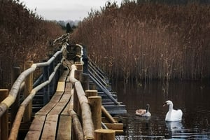 Kemerin kansallispuiston ulkoilmakierros