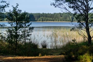 Riga: passeggiata nel parco naturale sul mare con un fotografo
