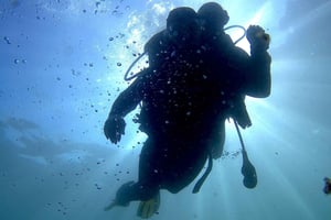 Arrábida - Sesimbra: Eco-Friendly Beginner's Scuba Diving