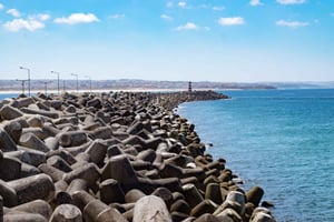 Berlengas The Atlantic Frontier: Day Tour from Lisbon