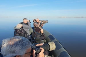Birdwatching Boat Tour in the Tagus Estuary