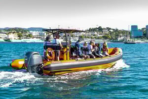 Boat tour: charming Cascais Coast to Lisbon lighthouse