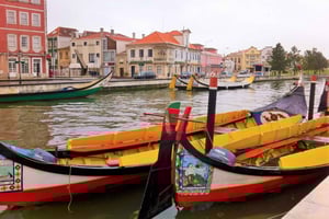 Coimbra and Aveiro Full-Day Private Tour from Lisbon