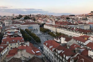 Essential Half-Day Tour