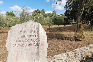 Fátima Full-Day Private Personalized Tour from Lisbon