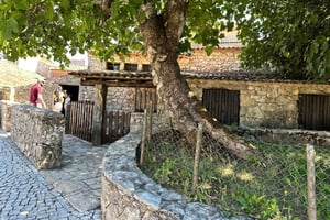 Fatima Full day Private Tour