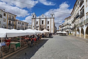 From Lisboa: Evora and Monsaraz Full-Day Tour