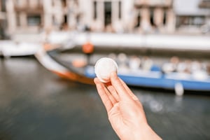 From Lisbon - COIMBRA and AVEIRO