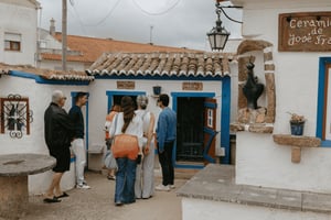 From Lisbon - Ericeira, Azenhas do Mar & Mafra Palace Private