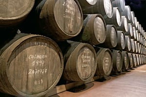 From Lisbon: Évora Wine & Heritage Tour