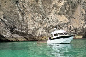 From Lisbon - Fantastic Dolphin Tour