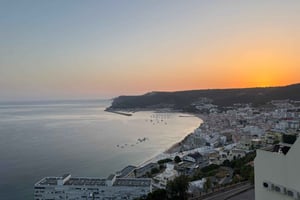 From Lisbon - Fantastic Dolphin Tour