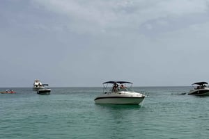 From Lisbon - Fantastic Dolphin Tour