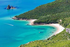 From Lisbon - Fantastic Dolphin Tour