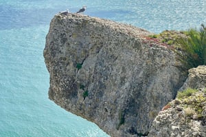 From Lisbon - Fátima, Nazaré & Óbidos Special Van Tour