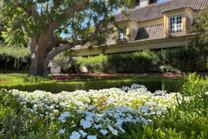 From Lisbon - Amazing Horseback Ride, Tasting, Estates, and Cristo Rei