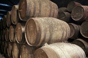 From Lisbon - Amazing Horseback Ride, Tasting, Estates, and Cristo Rei