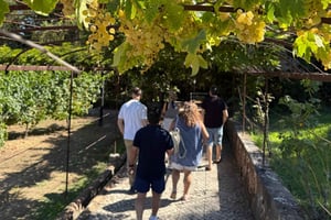 From Lisbon - Amazing Horseback Ride, Tasting, Estates, and Cristo Rei